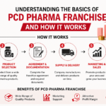 Understanding the Basics of PCD Pharma Franchise and How It Works